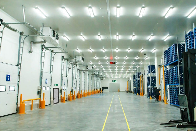 Cold-Room-Lighting-System