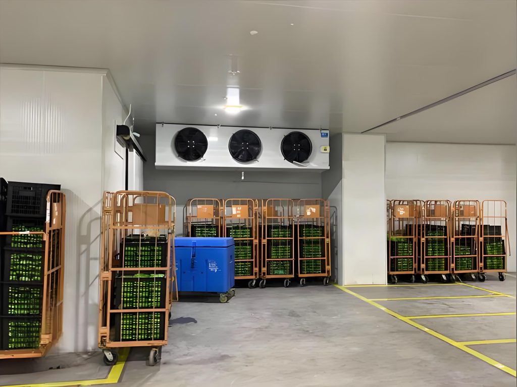 Реальные фото внутри холодильного склада семейной фермы