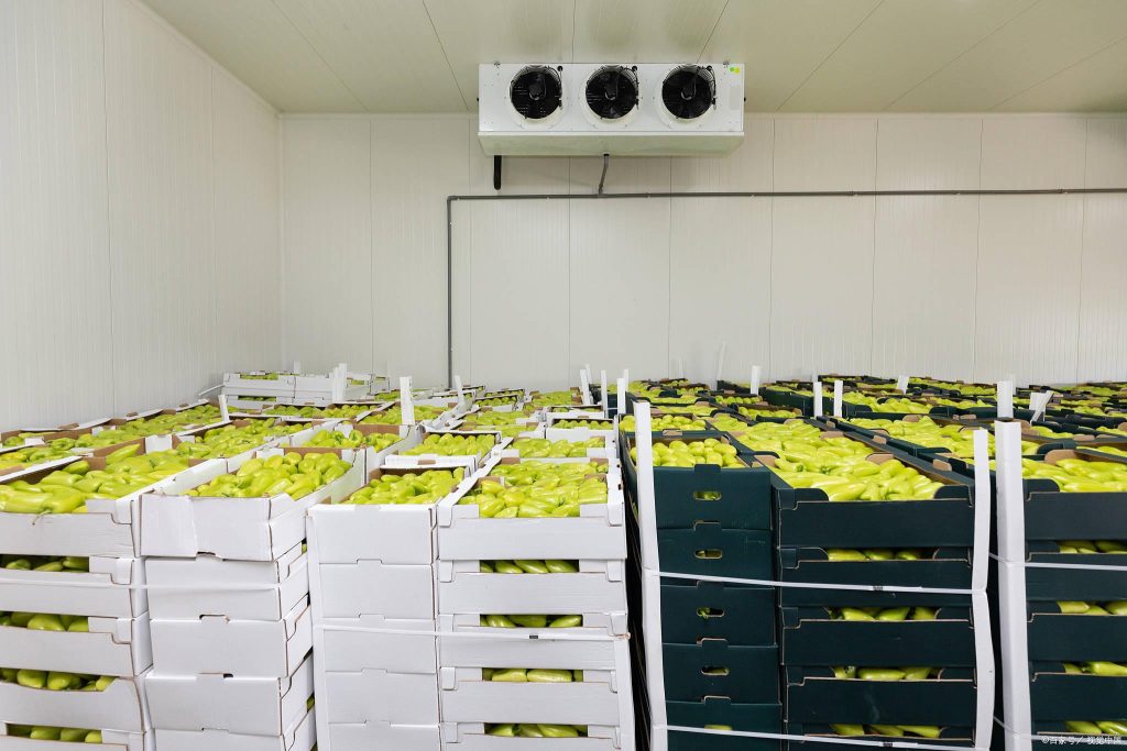 Сцена хранения фруктов и овощей в холодильной камере