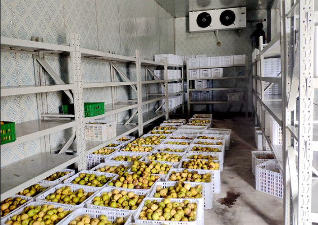 Схема внутреннего устройства овощефруктового холодильного склада