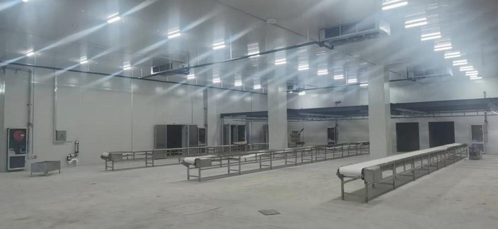 Реальные фото внутри холодильной камеры скотобойни в Казахстане