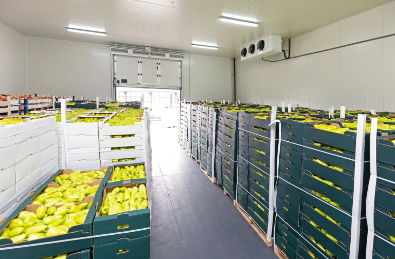 fruit-vegetable-cold-storage