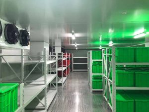 medical-cold-storage