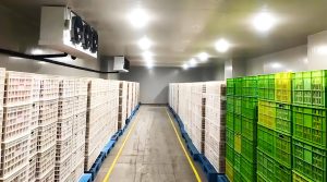 Реальные фото 500 м² холодильного склада для хранения свежих продуктов