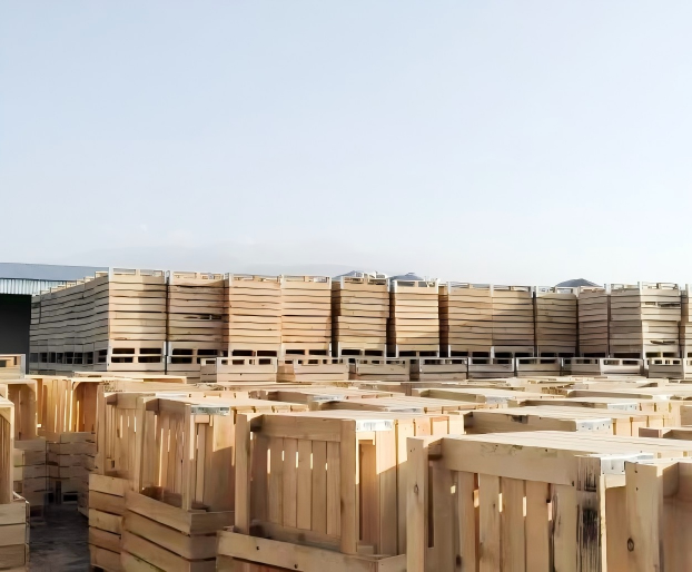 Вентилируемые ящики для яблок в холодильном складе