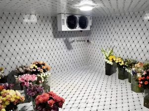 Внутреннее устройство холодильной камеры для цветов