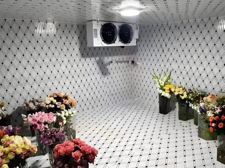 Внутреннее устройство холодильной камеры для цветов