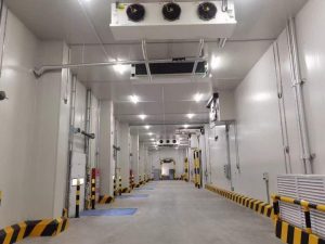 Внутреннее устройство холодильной камеры пищевой переработки