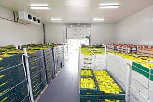 Холодильные склады с длительным сохранением