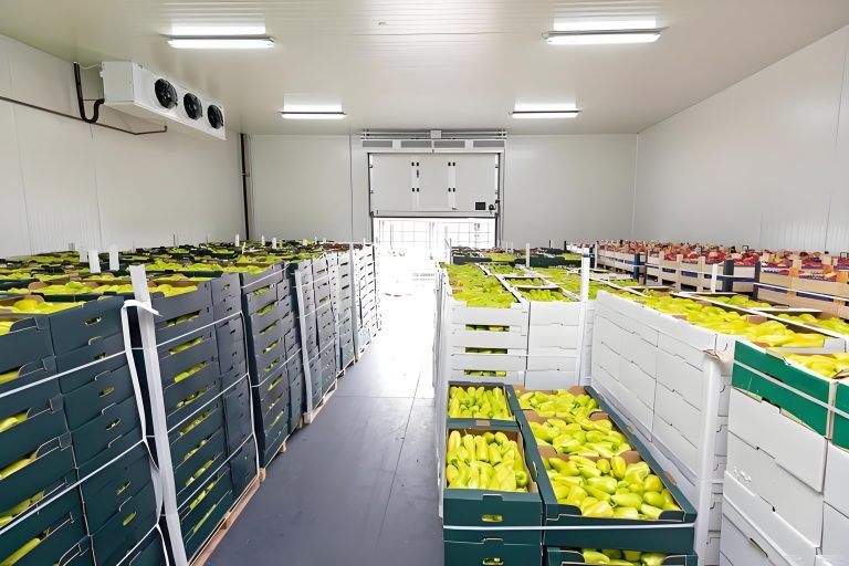 Холодильные склады с длительным сохранением