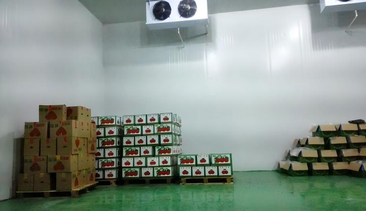 Строительство фруктового холодильного склада