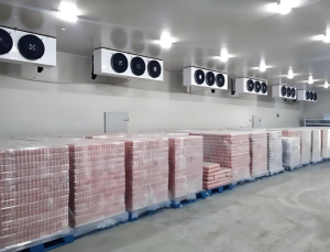 Реальное фото сцены холодильного склада для сельскохозяйственной продукции в Казахстане