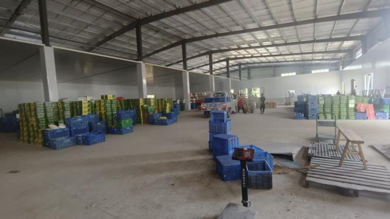 Реальное фото внутри большого холодильного склада