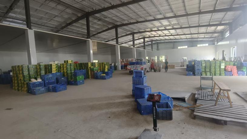 Реальное фото внутри большого холодильного склада