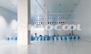 Какова взаимосвязь между стоимостью строительства и площадью холодильного склада?