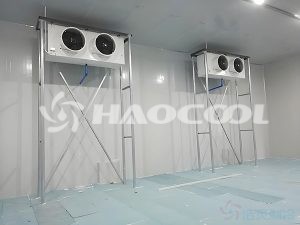 Холодильные камеры на скотобойнях