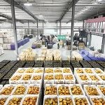 Отличия морозильного склада и холодильного склада