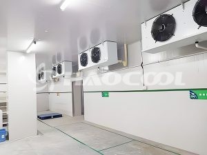 Какие вопросы следует учитывать при строительстве морозильной камеры шоковой заморозки?