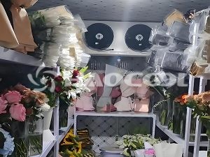 Воздушный и водяной холодильный агрегат для цветов какой лучше выбрать