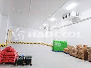 Основные моменты энергоэффективного проектирования и реализации фруктовых холодильных камер в Центральной Азии