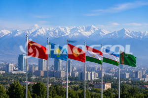 Сотрудничество Китая и стран Центральной Азии в рамках ШОС